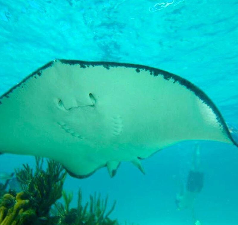 Gee, that was close!